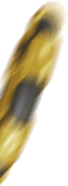 Win